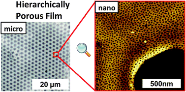 Graphical abstract: Hierarchically porous bio-inspired films prepared by combining “breath figure” templating and selectively degradable block copolymer directed self-assembly