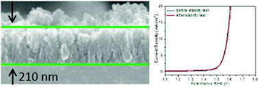 Graphical abstract: Pulsed laser deposition of porous N-carbon supported cobalt (oxide) thin films for highly efficient oxygen evolution