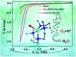 Graphical abstract: Electrocatalytic water oxidation by a macrocyclic Cu(ii) complex in neutral phosphate buffer
