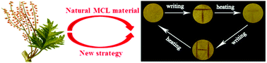 Graphical abstract: Mechanochromism triggered fluorescent color switching among polymorphs of a natural fluorescence pigment