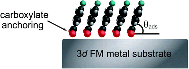 Graphical abstract: Toward interfacing organic semiconductors with ferromagnetic transition metal substrates: enhanced stability via carboxylate anchoring