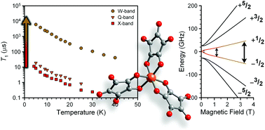 Graphical abstract: Unexpected suppression of spin–lattice relaxation via high magnetic field in a high-spin iron(iii) complex