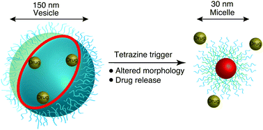Graphical abstract: Nanoparticle “switch-on” by tetrazine triggering