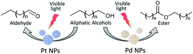 Graphical abstract: Non-plasmonic metal nanoparticles as visible light photocatalysts for the selective oxidation of aliphatic alcohols with molecular oxygen at near ambient conditions