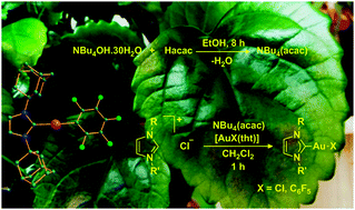 Graphical abstract: An efficient and sustainable synthesis of NHC gold complexes