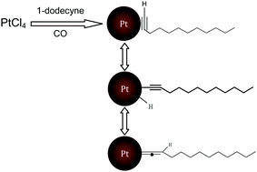 Graphical abstract: Identification of the formation of metal–vinylidene interfacial bonds of alkyne-capped platinum nanoparticles by isotopic labeling