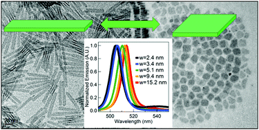 Graphical abstract: Shape control of zincblende CdSe nanoplatelets