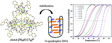 Graphical abstract: Enantiomers of tetrahedral metal–organic cages: a new class of highly efficient G-quadruplex ligands with potential anticancer activities