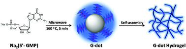 Graphical abstract: Chiral carbon dots derived from guanosine 5′-monophosphate form supramolecular hydrogels