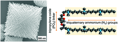 Graphical abstract: Hierarchical silicalite-1 octahedra comprising highly-branched orthogonally-stacked nanoplates as efficient catalysts for vapor-phase Beckmann rearrangement