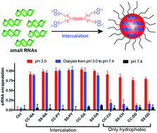 Graphical abstract: Intercalation-mediated nucleic acid nanoparticles for siRNA delivery