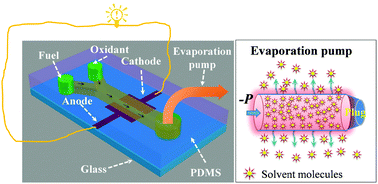Graphical abstract: A self-driven miniaturized liquid fuel cell