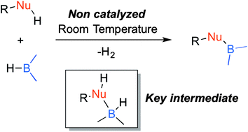 Graphical abstract: Catalyst-free dehydrocoupling of amines, alcohols, and thiols with pinacol borane and 9-borabicyclononane (9-BBN)