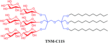 Graphical abstract: Tandem neopentyl glycol maltosides (TNMs) for membrane protein stabilisation