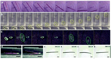 Graphical abstract: Crystals on the move: mechanical effects in dynamic solids