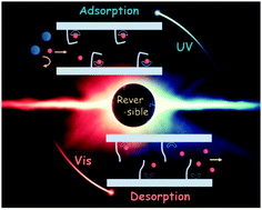 Graphical abstract: Smart adsorbents with reversible photo-regulated molecular switches for selective adsorption and efficient regeneration