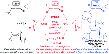 Graphical abstract: Stable bromoallene oxides