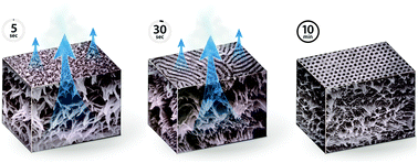 Graphical abstract: Asymmetric block copolymer membranes with ultrahigh porosity and hierarchical pore structure by plain solvent evaporation