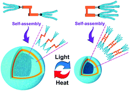 Graphical abstract: Photo-powered stretchable nano-containers based on well-defined vesicles formed by an overcrowded alkene switch