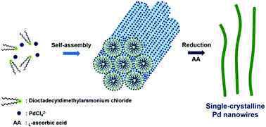 Graphical abstract: Facile synthesis of ultrathin single-crystalline palladium nanowires with enhanced electrocatalytic activities