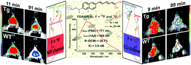 Graphical abstract: In vivo near-infrared and Cerenkov luminescence imaging of amyloid-β deposits in the brain: a fluorinated small molecule used for dual-modality imaging