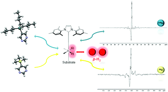 Graphical abstract: Using signal amplification by reversible exchange (SABRE) to hyperpolarise 119Sn and 29Si NMR nuclei