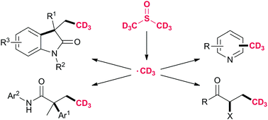 Graphical abstract: Radical trideuteromethylation with deuterated dimethyl sulfoxide in the synthesis of heterocycles and labelled building blocks