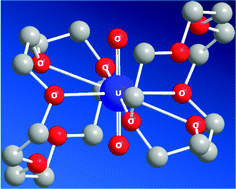 Graphical abstract: Electronic structure and characterization of a uranyl di-15-crown-5 complex with an unprecedented sandwich structure