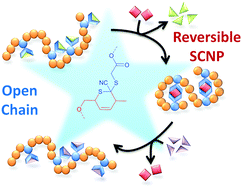 Graphical abstract: Dynamic covalent single chain nanoparticles based on hetero Diels–Alder chemistry