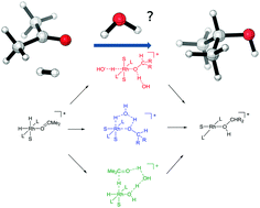 Graphical abstract: A DFT study of the role of water in the rhodium-catalyzed hydrogenation of acetone