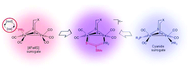 Graphical abstract: Reduced thione ligation is preferred over neutral phosphine ligation in diiron biomimics regarding electronic functionality: a spectroscopic and computational investigation