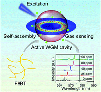 Graphical abstract: Controlled assembly of organic whispering-gallery-mode microlasers as highly sensitive chemical vapor sensors