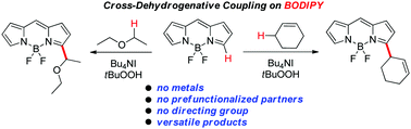Graphical abstract: Bu4NI/tBuOOH catalyzed, α-regioselective cross-dehydrogenative coupling of BODIPY with allylic alkenes and ethers