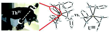 Graphical abstract: Uranium(iii) and thorium(iv) alkyl complexes as potential starting materials