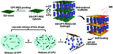 Graphical abstract: A three-dimensional graphene oxide supramolecular hydrogel for infrared light-responsive cascade release of two anticancer drugs