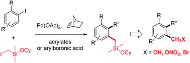 Graphical abstract: The palladium/norbornene-catalyzed ortho-silylmethylation reaction: a practical protocol for ortho-functionalized one-carbon homologation of aryl iodides