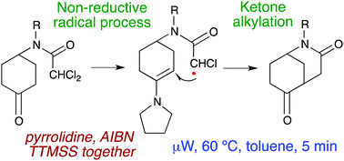 Graphical abstract: Intramolecular radical non-reductive alkylation of ketones via transient enamines