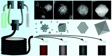 Graphical abstract: Trapping shape-controlled nanoparticle nucleation and growth stages via continuous-flow chemistry