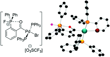 Graphical abstract: A pendant phosphorus Lewis acid: route to a palladium-benzoyl derived phosphorane