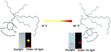 Graphical abstract: A thermochromic europium(iii) room temperature ionic liquid with thermally activated anion–cation interactions