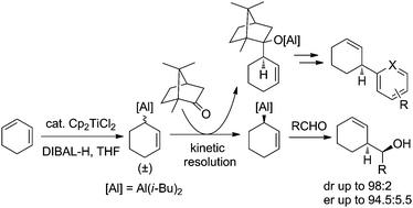 Graphical abstract: (+)-Camphor-mediated kinetic resolution of allylalanes: a strategy towards enantio-enriched cyclohex-2-en-1-ylalane