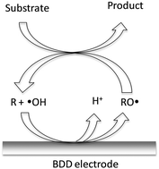 Graphical abstract: Polycrystalline boron-doped diamond electrodes for electrocatalytic and electrosynthetic applications