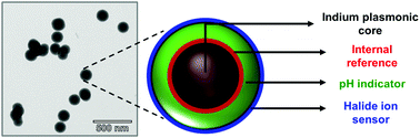 Graphical abstract: A ratiometric nanoarchitecture for the simultaneous detection of pH and halide ions using UV plasmon-enhanced fluorescence
