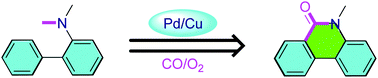Graphical abstract: Pd/Cu-Catalyzed aerobic oxidative aromatic C–H bond activation/N-dealkylative carbonylation towards the synthesis of phenanthridinones