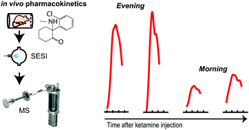 Graphical abstract: Gauging circadian variation in ketamine metabolism by real-time breath analysis