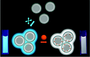 Graphical abstract: A self-assembled white-light-emitting system in aqueous medium based on a macrocyclic amphiphile