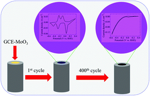 Graphical abstract: Electrochemical cycling and beyond: unrevealed activation of MoO3 for electrochemical hydrogen evolution reactions