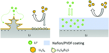 Graphical abstract: A dual-functional polymer coating on a lithium anode for suppressing dendrite growth and polysulfide shuttling in Li–S batteries
