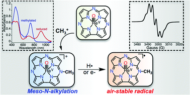 Graphical abstract: meso-N-Methylation of a porphyrinoid complex: activating the H-atom transfer capability of an inert ReV(O) corrolazine