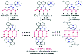 Graphical abstract: Three in one: prototropy-free highly stable AADD-type self-complementary quadruple hydrogen-bonded molecular duplexes with a built-in fluorophore
